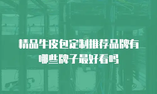 精品牛皮包定制推荐品牌有哪些牌子最好看吗