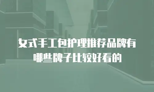 女式手工包护理推荐品牌有哪些牌子比较好看的