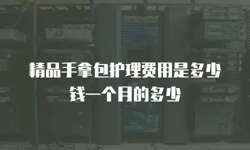 精品手拿包护理费用是多少钱一个月的多少