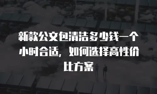新款公文包清洁多少钱一个小时合适，如何选择高性价比方案