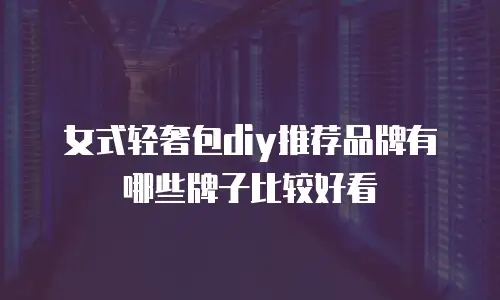 女式轻奢包diy推荐品牌有哪些牌子比较好看