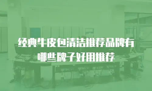 经典牛皮包清洁推荐品牌有哪些牌子好用推荐