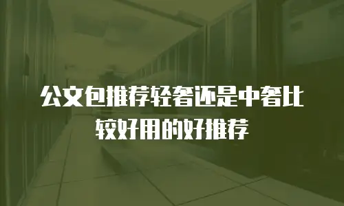 公文包推荐轻奢还是中奢比较好用的好推荐