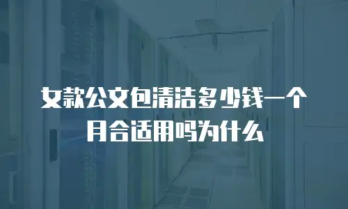 女款公文包清洁多少钱一个月合适用吗为什么