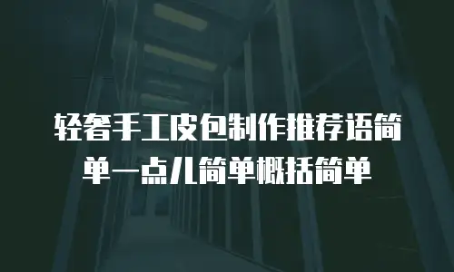 轻奢手工皮包制作推荐语简单一点儿简单概括简单