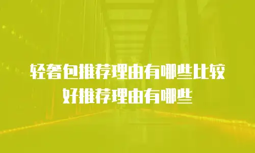 轻奢包推荐理由有哪些比较好推荐理由有哪些