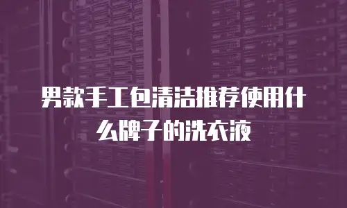 男款手工包清洁推荐使用什么牌子的洗衣液