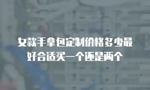 女款手拿包定制价格多少最好合适买一个还是两个