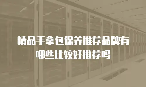 精品手拿包保养推荐品牌有哪些比较好推荐吗
