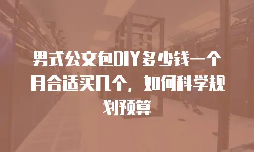 男式公文包DIY多少钱一个月合适买几个，如何科学规划预算