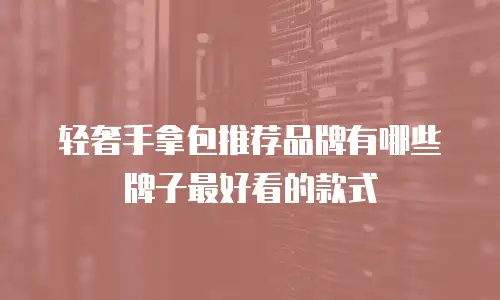 轻奢手拿包推荐品牌有哪些牌子最好看的款式