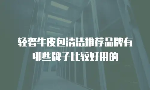 轻奢牛皮包清洁推荐品牌有哪些牌子比较好用的