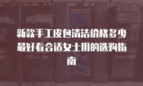 新款手工皮包清洁价格多少最好看合适女士用的选购指南