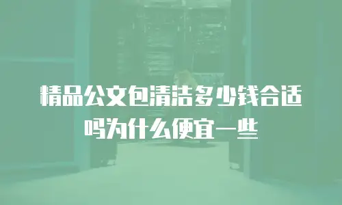 精品公文包清洁多少钱合适吗为什么便宜一些