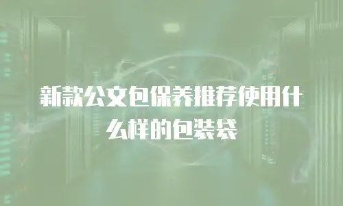 新款公文包保养推荐使用什么样的包装袋