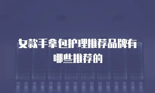 女款手拿包护理推荐品牌有哪些推荐的