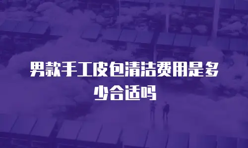 男款手工皮包清洁费用是多少合适吗