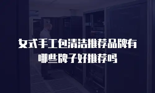 女式手工包清洁推荐品牌有哪些牌子好推荐吗