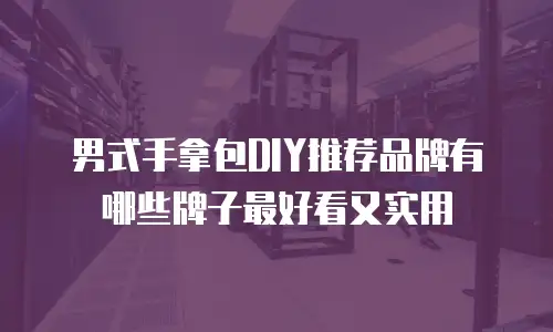 男式手拿包DIY推荐品牌有哪些牌子最好看又实用