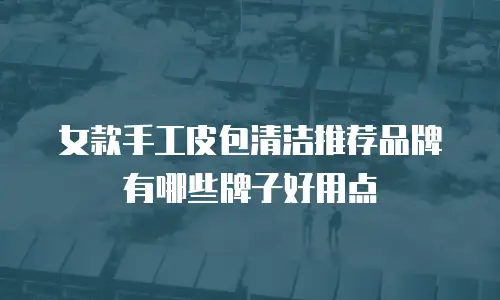 女款手工皮包清洁推荐品牌有哪些牌子好用点