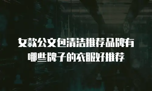 女款公文包清洁推荐品牌有哪些牌子的衣服好推荐
