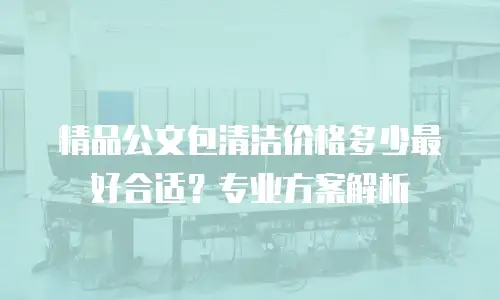 精品公文包清洁价格多少最好合适？专业方案解析