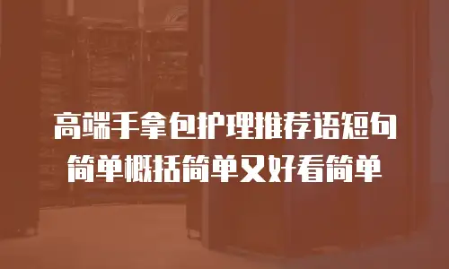 高端手拿包护理推荐语短句简单概括简单又好看简单