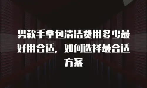 男款手拿包清洁费用多少最好用合适，如何选择最合适方案