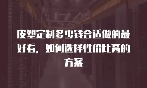 皮塑定制多少钱合适做的最好看，如何选择性价比高的方案