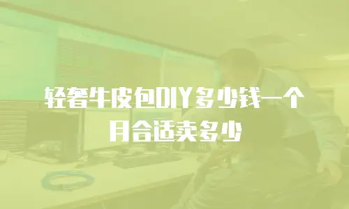 轻奢牛皮包DIY多少钱一个月合适卖多少