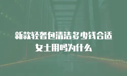 新款轻奢包清洁多少钱合适女士用吗为什么
