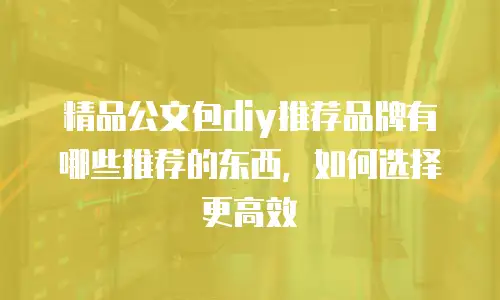 精品公文包diy推荐品牌有哪些推荐的东西，如何选择更高效