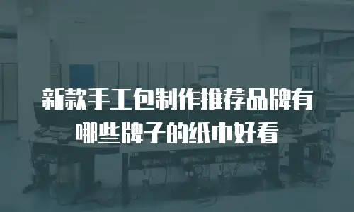 新款手工包制作推荐品牌有哪些牌子的纸巾好看