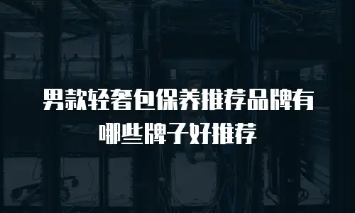 男款轻奢包保养推荐品牌有哪些牌子好推荐
