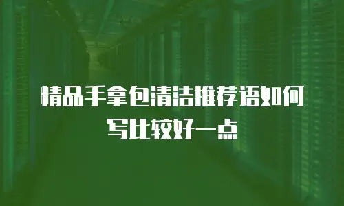 精品手拿包清洁推荐语如何写比较好一点