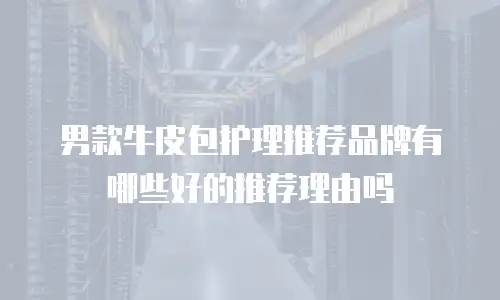 男款牛皮包护理推荐品牌有哪些好的推荐理由吗