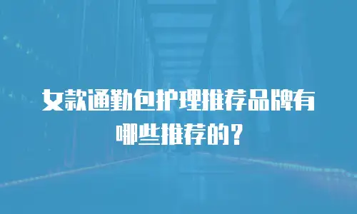 女款通勤包护理推荐品牌有哪些推荐的？