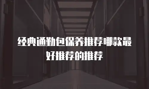 经典通勤包保养推荐哪款最好推荐的推荐