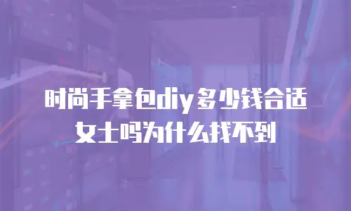 时尚手拿包diy多少钱合适女士吗为什么找不到