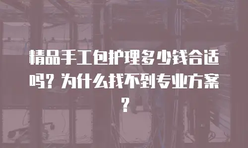 精品手工包护理多少钱合适吗？为什么找不到专业方案？