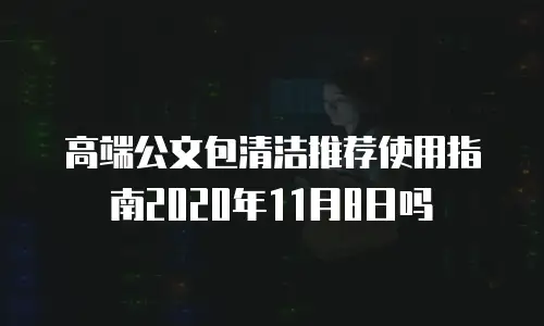 高端公文包清洁推荐使用指南2020年11月8日吗