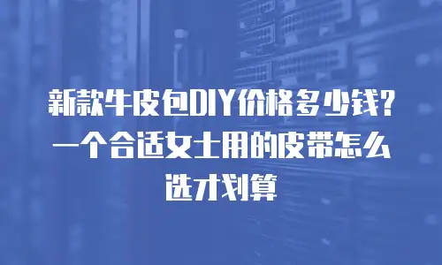新款牛皮包DIY价格多少钱？一个合适女士用的皮带怎么选才划算