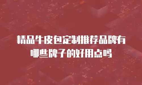 精品牛皮包定制推荐品牌有哪些牌子的好用点吗