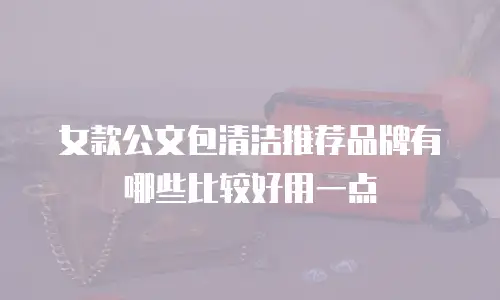 女款公文包清洁推荐品牌有哪些比较好用一点