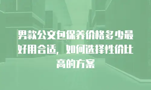 男款公文包保养价格多少最好用合适，如何选择性价比高的方案