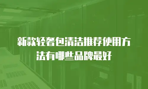 新款轻奢包清洁推荐使用方法有哪些品牌最好