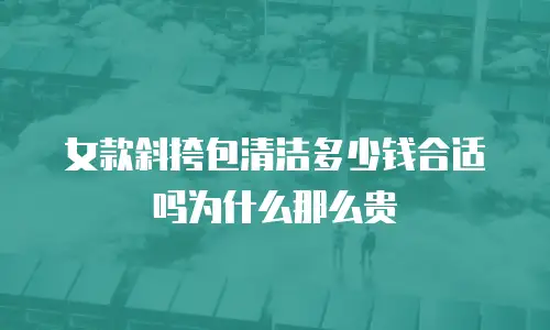 女款斜挎包清洁多少钱合适吗为什么那么贵
