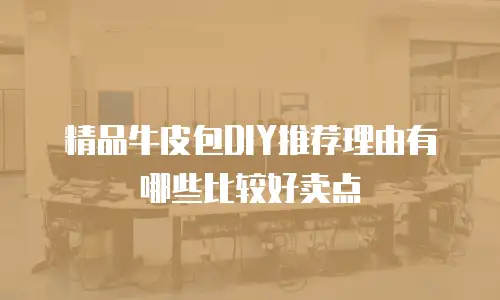 精品牛皮包DIY推荐理由有哪些比较好卖点