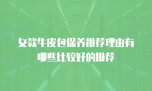 女款牛皮包保养推荐理由有哪些比较好的推荐