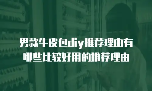 男款牛皮包diy推荐理由有哪些比较好用的推荐理由